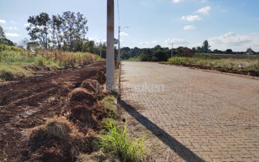 TERRENOS NO LOTEAMENTO WINKLER EM TUPARENDI
